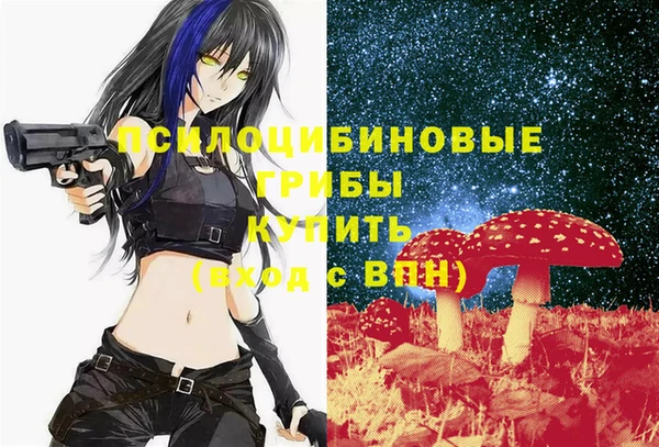 ALPHA PVP Аркадак