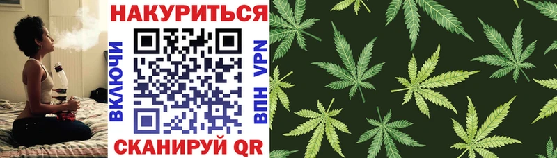 Канабис семена  Балей 